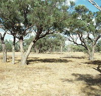 Forest Den National Park - Tourism Gold Coast