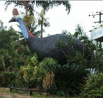 The Big Cassowary - Tourism Gold Coast