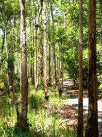 Hallorans Hill - Tourism Gold Coast 0