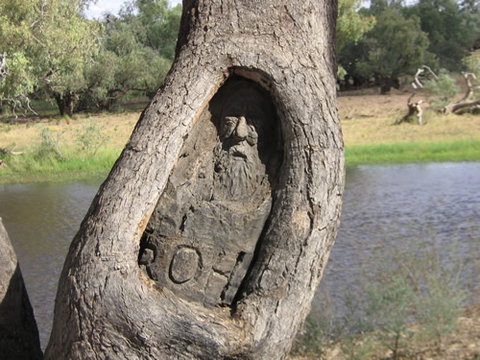 Burke And Wills Dig Tree - Tourism Gold Coast 3