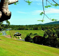 Sirromet Winery - Tourism Gold Coast