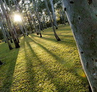 Tondoon Botanic Gardens - Tourism Gold Coast