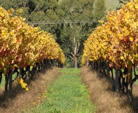 Wild Dog Winery & Restaurant - Tourism Gold Coast 0