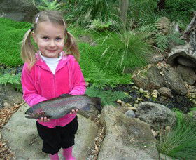 Wild Food Farm & Cafe - Gold Coast 0