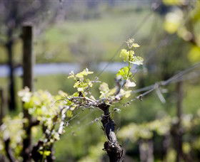 Elan Vineyard And Winery - Tourism Gold Coast 0
