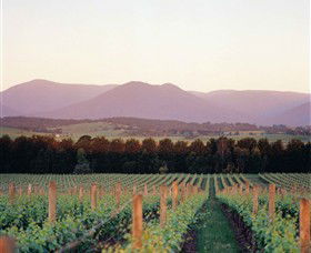 Domaine Chandon - Tourism Gold Coast 0