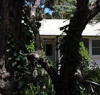 Melaleuca Gallery - Tourism Gold Coast