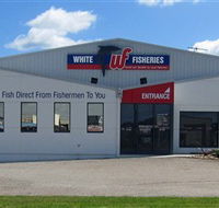 White Fisheries - Gold Coast