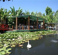 Blue Lotus Water Garden - Tourism Gold Coast