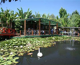 Blue Lotus Water Garden - Tourism Gold Coast 0