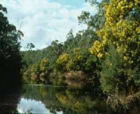 North Warrandyte VIC Tourism Gold Coast