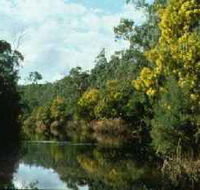 Warrandyte State Park - Tourism Gold Coast