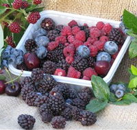 Bright Berry Farms - Tourism Gold Coast