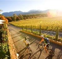 Boyntons Feathertop Winery - Tourism Gold Coast