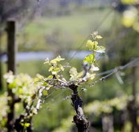 Booth's Taminick Cellars - Tourism Gold Coast