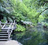 Alfred Nicholas Gardens - Tourism Gold Coast