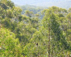 Bunyip State Park - Tourism Gold Coast 0