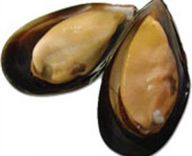 Sea Bounty - Tourism Gold Coast 0