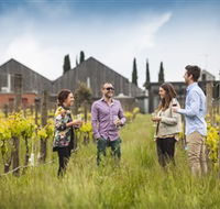 Willow Creek Vineyard - Tourism Gold Coast