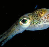 Corner Inlet Marine National Park - Tourism Gold Coast