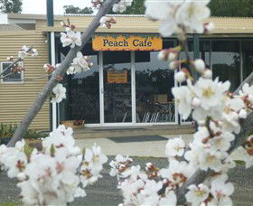 Rayner's Orchard - Tourism Gold Coast 0