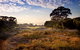 Kingston Heath Golf Club - thumb 1