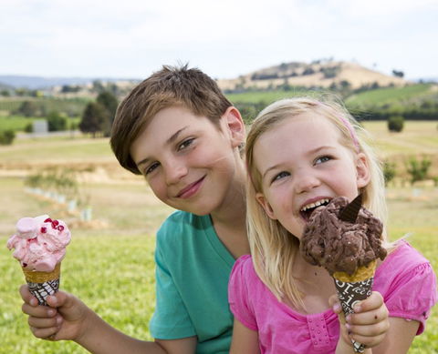 Yarra Valley Chocolaterie & Ice Creamery - Tourism Gold Coast 6