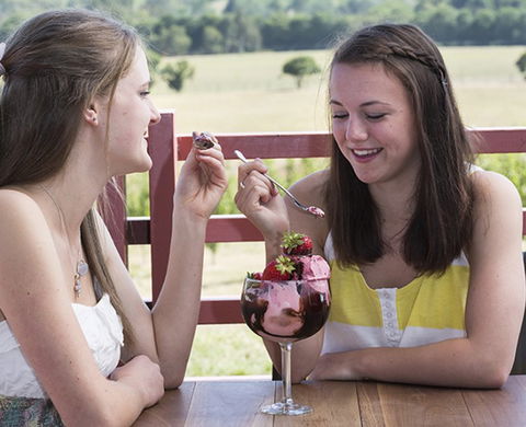 Yarra Valley Chocolaterie & Ice Creamery - Tourism Gold Coast 8