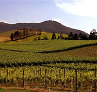 Soumah of Yarra Valley - Tourism Gold Coast