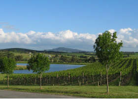 Yarrawood Estate - Tourism Gold Coast 0