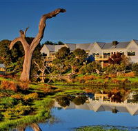 The Minya Vineyard  Winery - Tourism Gold Coast