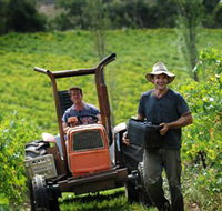 Kellybrook Winery  Kelly Brothers Cider - Tourism Gold Coast