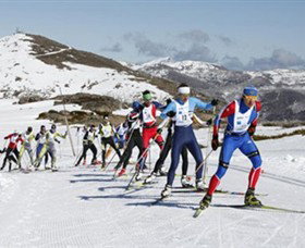 Bogong VIC Tourism Gold Coast