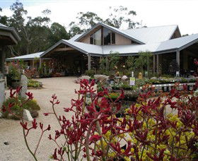 Kuranga Native Nursery And Paperbark Cafe - Tourism Gold Coast 0
