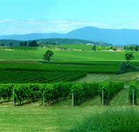 Acacia Ridge Vineyard - Tourism Gold Coast