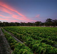 Amherst Winery - Tourism Gold Coast