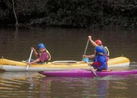 Longridge Park Camp - Tourism Gold Coast 0