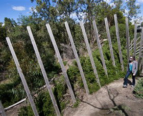 Herring Island Environmental Sculpture Park - Gold Coast 0