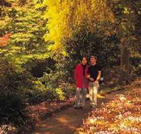 George Tindale Memorial Gardens - Tourism Gold Coast