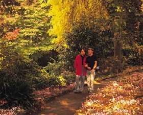 George Tindale Memorial Gardens - Tourism Gold Coast 0