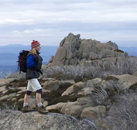 Mount Buffalo National Park - Tourism Gold Coast