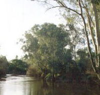 Banksia Park - Tourism Gold Coast