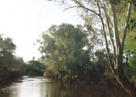 Banksia Park - Tourism Gold Coast 0