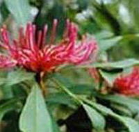 Alfred National Park - Tourism Gold Coast