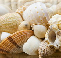 Anglesea Beach Club - Tourism Gold Coast