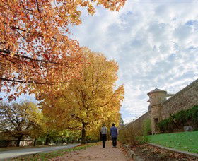 Beechworth Historic And Cultural Precinct - Tourism Gold Coast 0
