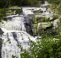 Agnes Falls Scenic Reserve - Tourism Gold Coast