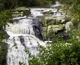 Agnes Falls Scenic Reserve - Tourism Gold Coast 0