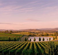 Oakridge Wines - Tourism Gold Coast