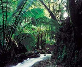 Lavers Hill VIC Gold Coast